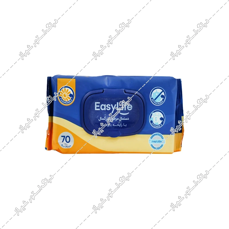 دستمال مرطوب بزرگسال ایزی لایف 70 عددی